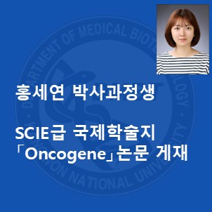 임대진 교수님